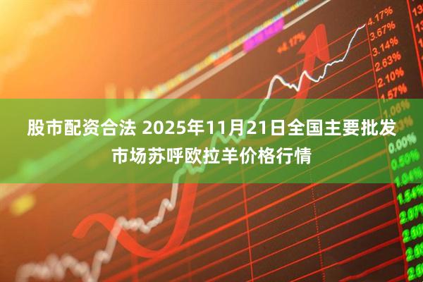 股市配资合法 2025年11月21日全国主要批发市场苏呼欧拉羊价格行情