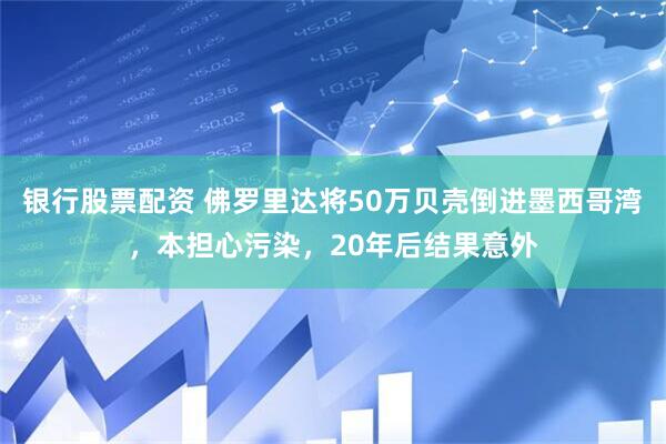 银行股票配资 佛罗里达将50万贝壳倒进墨西哥湾，本担心污染，20年后结果意外
